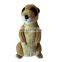 2 Lbs  Plush Pet Toys  Cute Plush Toy Sensory Toys For Children Weighted Toy