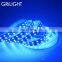 The best selling products double row rgb 5050 led strip 120leds/m for landscape