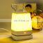 Portable USB Charging Office Home Bedroom Decorative Night Light Led Rechargeable Camping Lantern Desk Lamp for Outdoor