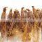 Natue body tonic herb Red Ginseng Root / Panax Ginseng / Ninjin with tail