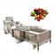 CE approved full automatic tomoto/fruit/ strawberry conveyor belt vegetable cleaner washer/fruit washing machine