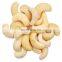 Cashew nut from Vietnam wholesale
