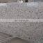 High quality  White galaxy granite for floor and wall