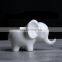 Garden Decor Elephant Shaped Animal Pots Home Small Cute Ceramic Flower Pot For Decoration