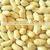 High grade raw red skin peanut seeds in bulk form china manufacturer wholesale price for export