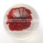 Hot selling crystal sphere with real insects ember inserted as promotion gifts
