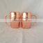 16oz double wall mug, Stainless steel types insulated tumbler. beer mug