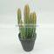 Plastic succulents plants artificial plants gift for indoor decor