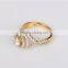 Latest Beauty Design Diamond Ring Flower Shape 925 Silver cz Ring