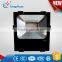 New product Die-casting Aluminum stand led flood light