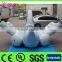 Crazy inflatable swan for water games