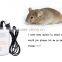 simple graceful pest and spider and flea repeller
