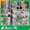 Shangri-la Blind Sheer Roller Blind