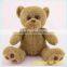 Teddy Bear Promotional Plush Toy