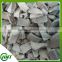 Wholesale Delicious Iqf/frozen Oyster Mushroom Dices