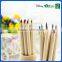 Promotional 12 Pcs 7 Inch Art Wooden Coloring Pencils Set With Lovely Wood Case