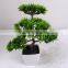 Real Look Artificial Podocarpus Bonsai Tree Potted Plant Wholesale