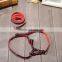Pet Dog Cat Adjustable Jean Leash Traning Harness Lead Collar Training Rope
