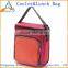2015 hot promotion frozen lunch bag / cooler lunch bag for kid