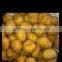 nut coating machine