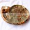 ashtray ammonite fossils stone for sale