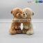 New Design Couple Bear Soft Toy for Baby