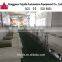 Feiyide Mini Manual Gold Plating Production Line /Gold Electroplating Equipment