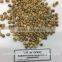 VIETNAM ARABICA GREEN COFFEE BEANS- The best price