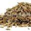 Singapore Quality - Europe Quality - UAE Quality Cumin Seeds