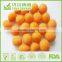HACCP,ISO,BRC,HALAL Certification Round Wasabi Peanuts with best quality and hot price