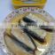 Seafood Food Of Canned Sardines In Oil