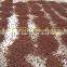 High quality Vietnam star aniseeds without stems / anise - Cheap price!
