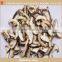 health food dried shiitake mushroom chips