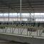 Farm Cow Headlock with 3 mm Thickness Hot-galvanized Steel Pipe