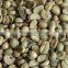 Organic cultivation arabica coffee beans green coffee bean for sale