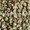 Supply Bulk Green coffee bean Washed arabica coffee beans from China