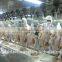 stainless steel chicken butchery equipment