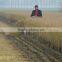 Mingyue new product 4GL100 bean harvesting machine head