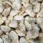 2016 BEST CHOICE CLAM SUPPLIER SHORT NECKED CLAM