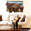 Interesting 3D Elephant Wall Sticker for kids , Removable Real Elephant Wall Sticker