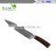 5pcs Japanese Damascus Steel 8 inch Chef knife Best Quality Japanese VG10 Super Steel 67 Layer High Carbon Stainless Steel-Raz