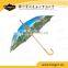 Hot Sale Custom Wooden Print Umbrella