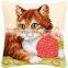 Tapestry set(Printed canvas).CX0684.New style
