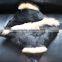 YR346 Real Rabbit And Raccoon Fur Sofa Pillow Case Cover Customized Made