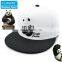 New Style China Cute Kung Fu Panda zoo animal film fans cartoon Adjustable hiphop Snapback cap hat Bone for young men women