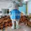 HI CE custom funny cartoon charactor Koara mascot costumes for adults for sale