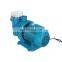 1HP Pump Above Ground Swimming Pool Filter 220v Electric Swimming Pool Filter Pump