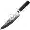 Professional 67 layer kitchen knives Damascus steel knife