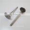 3924492 Dongfeng Truck 6CT Diesel Engine Parts Name Intake Valve