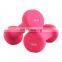 Cheap plastic dumbbell cast iron inside colorful plastic dip dumbbell for home gym equipment